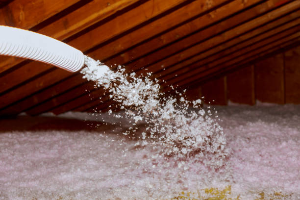 Best Spray Foam Insulation  in Appleton City, MO