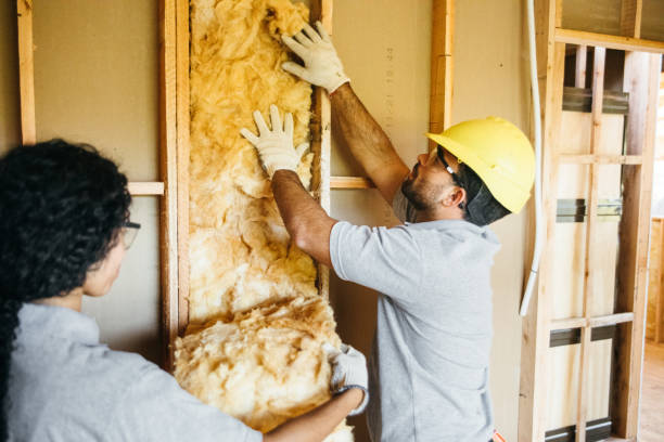 Best Commercial Insulation Services  in Appleton City, MO