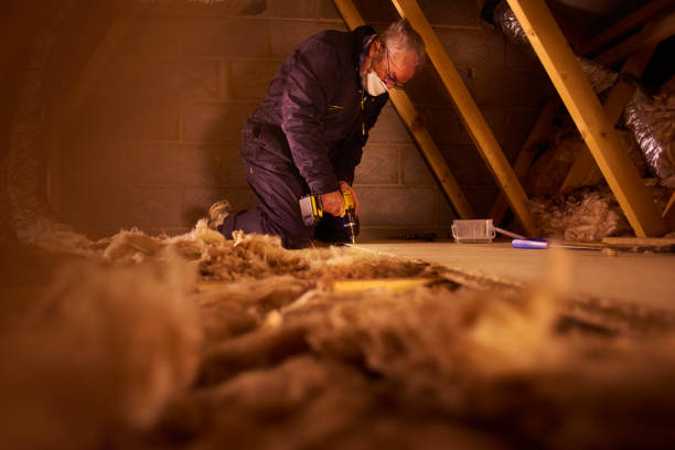 Best Eco-Friendly or Green Insulation Solutions  in Appleton City, MO